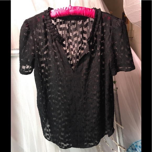 Ann Taylor Tops - ANN TAYLOR Sheer Blouse